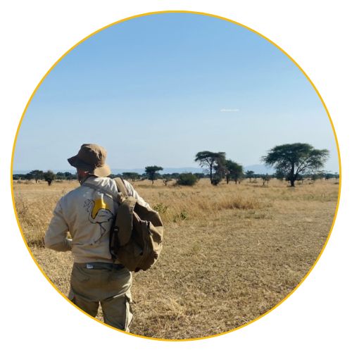 Aventura: Valor african Sun